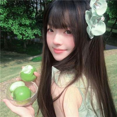 好莱坞以北